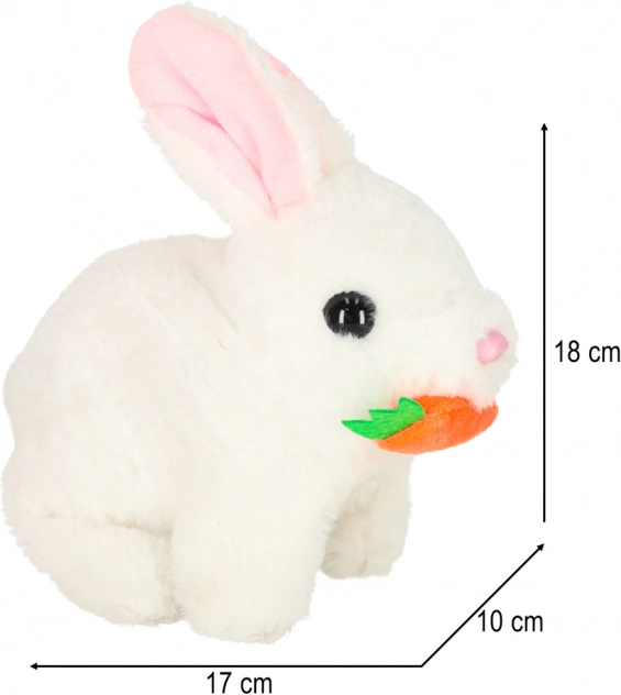 Lapin Interactif avec Carotte