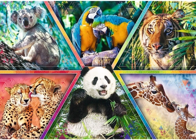 Vivid collage of wildlife