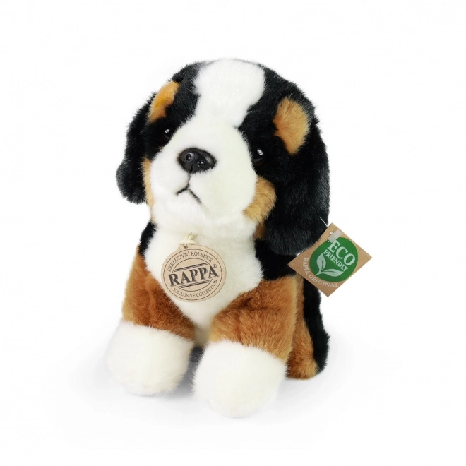 Pluche Berner Sennenhond