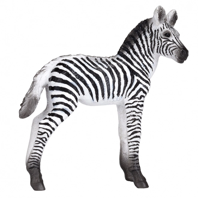 Realistische Zebra-Jungtierfigur
