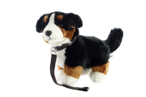 Bernese Mountain Dog Plush Toy with Leash