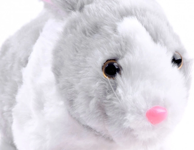Soft and cuddly plush