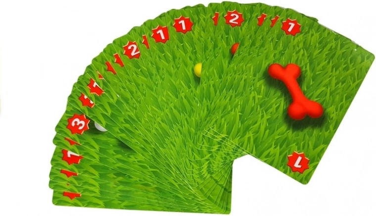 Game cards for different variants