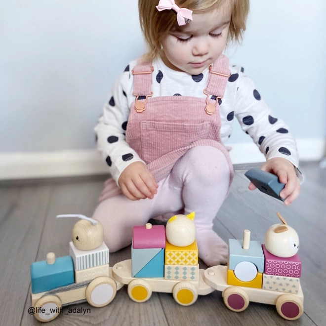 Bigjigs Baby Houten Trein met Dieren