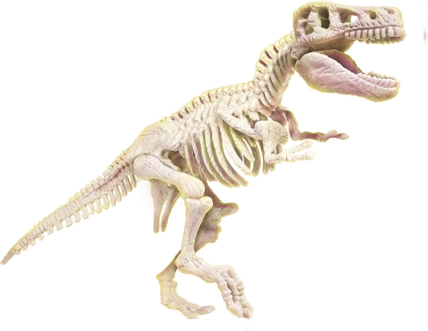 Lichtgevend T‑Rex-skelet