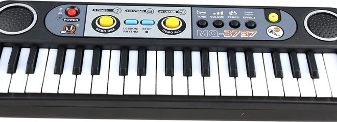 Electronic Keyboard with Microphone, 37 Keys