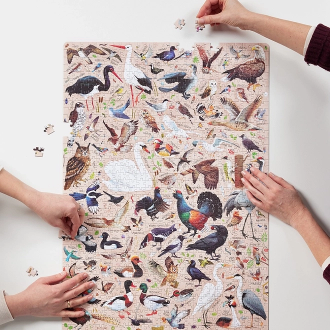 Puzzel Puzzlove Ptaki 1000 stukjes