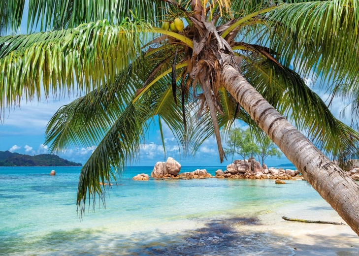 Puzzel Tropisch strand 1000 stukjes