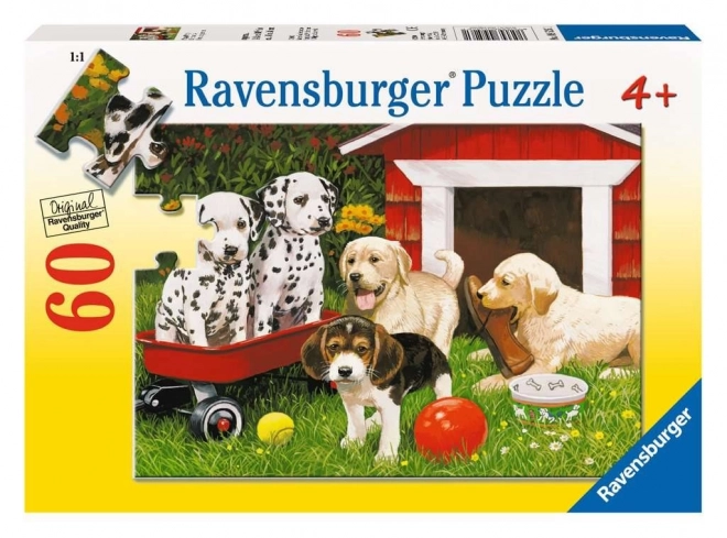 Ravensburger puzzel Puppy Party 60 stukjes