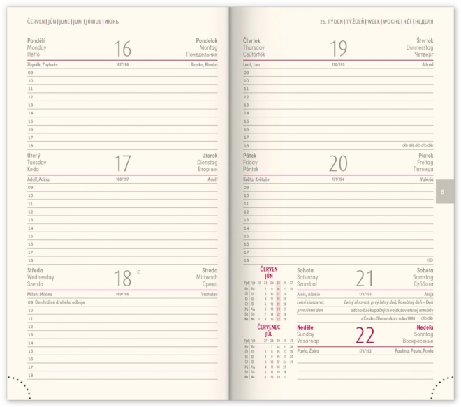 NOTIQUE Zakagenda Diario 2025, roze, 9 x 15,5 cm