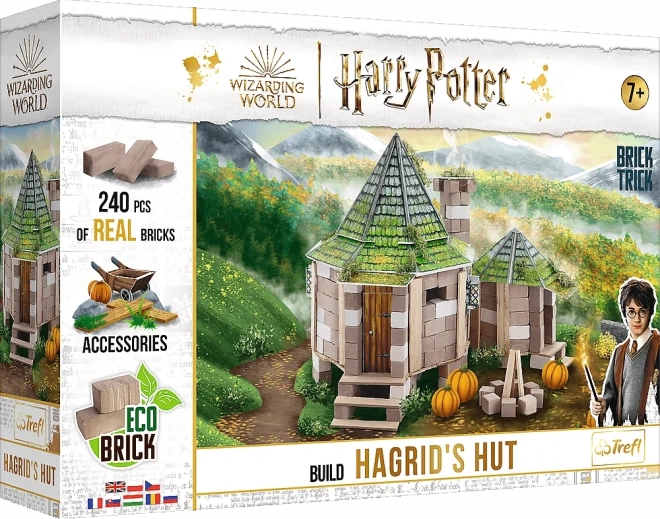 Building Set Harry Potter: Hagrid's Hut 240 Pieces