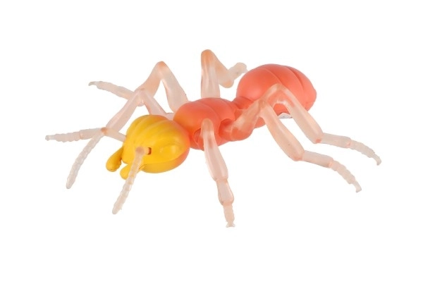 Anti-stress Ant