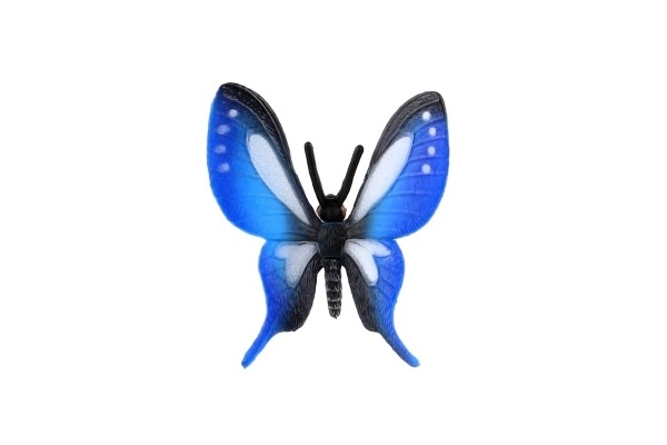 Prachtige blauwe vleugels