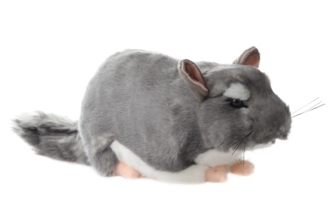 Pluchen chinchilla 22 cm