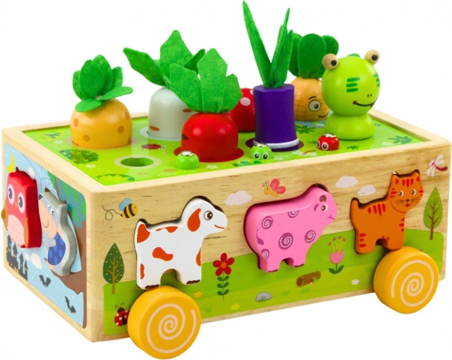 Magnetisch spel voor geduld en precisie