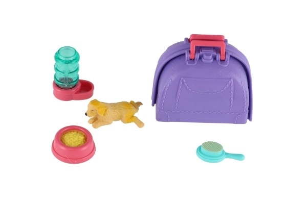 Mazlíček hond met draagbare doos en accessoires