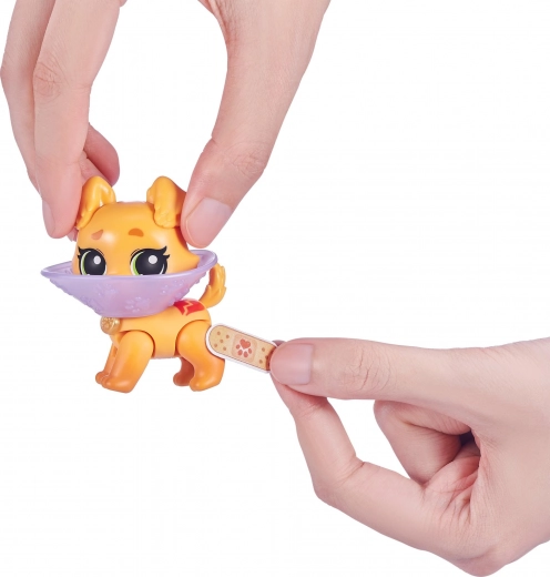 Verzamel diverse puppy’s