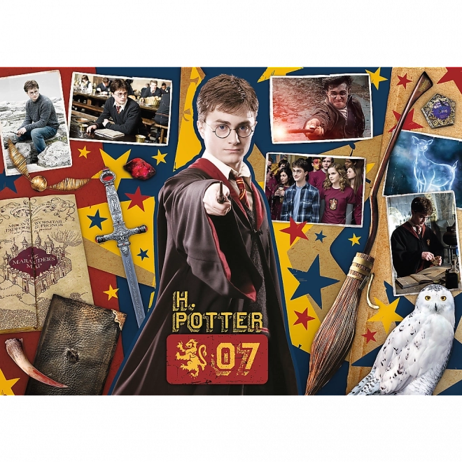 Trefl Puzzle Harry Potter: Ron, Hermione and Harry Set