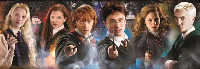 Puzzle 1000 Pieces Panorama Harry Potter: Students