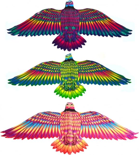 Cerf-volant Aigle volant