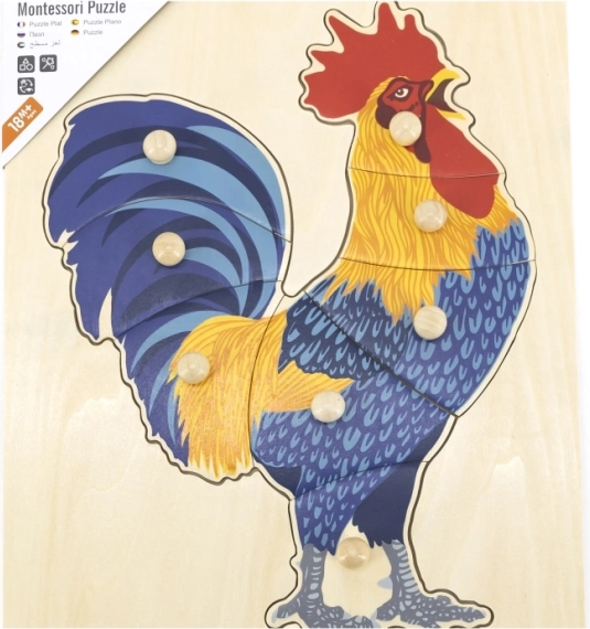 Bois résistant et couleurs sûres