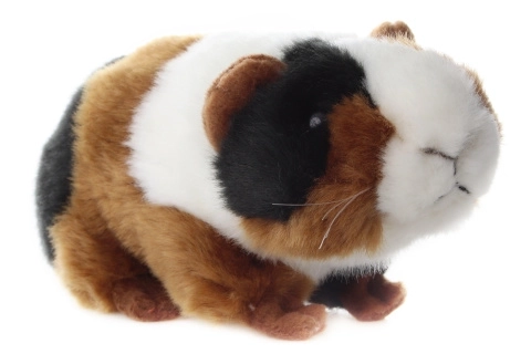 Pluchen cavia