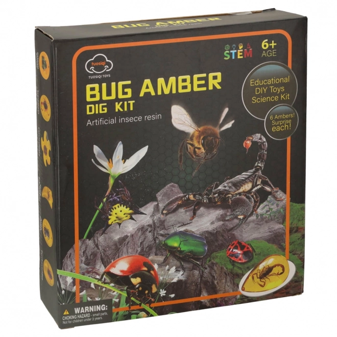 Archeologisch educatief set Insecten in Barnsteen
