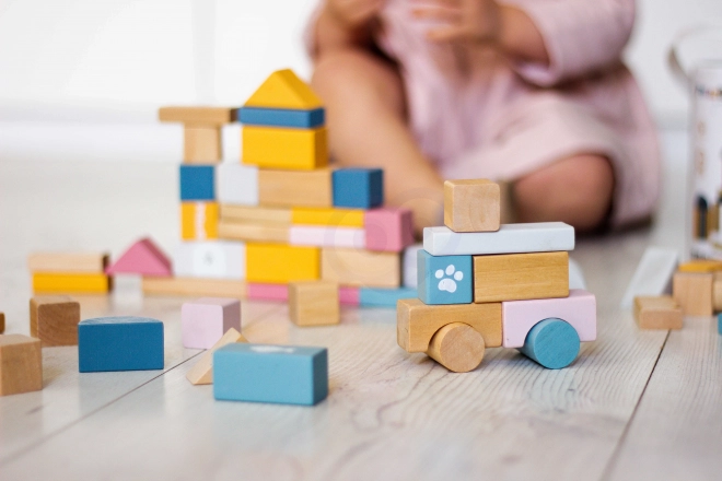 Wooden Block Set 60 Pieces