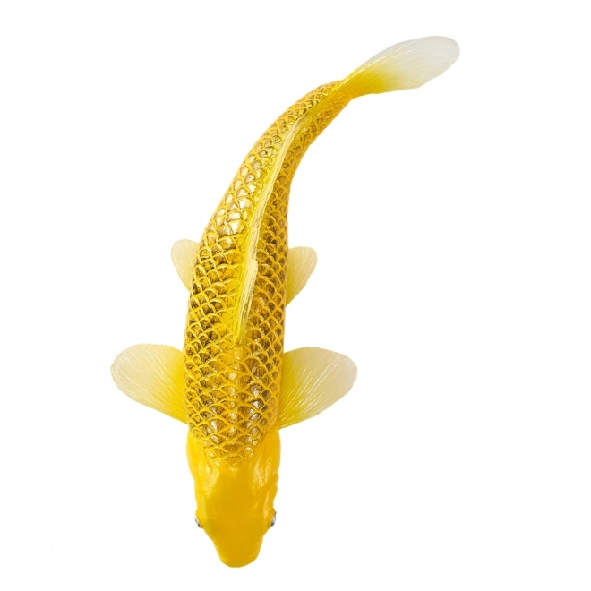 Mojo karper koi Matsuba