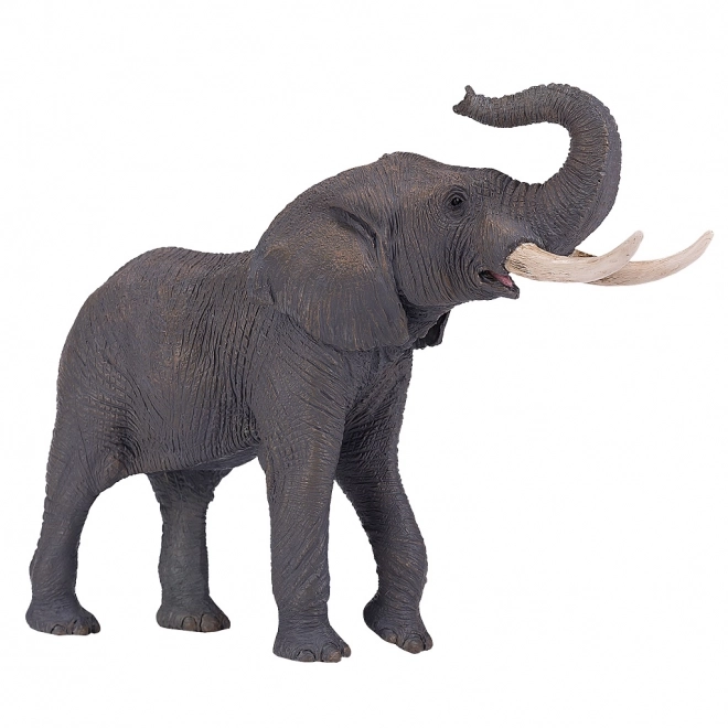 Mojo Afrikaanse Olifant
