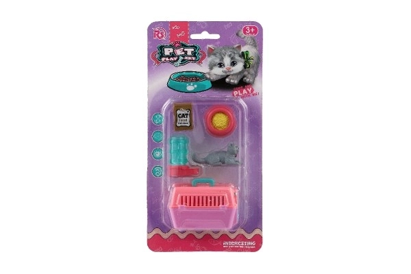 Poes met draagbare doos en accessoires