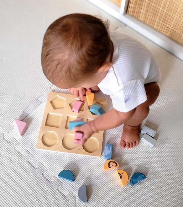 Shape Puzzle PolarB