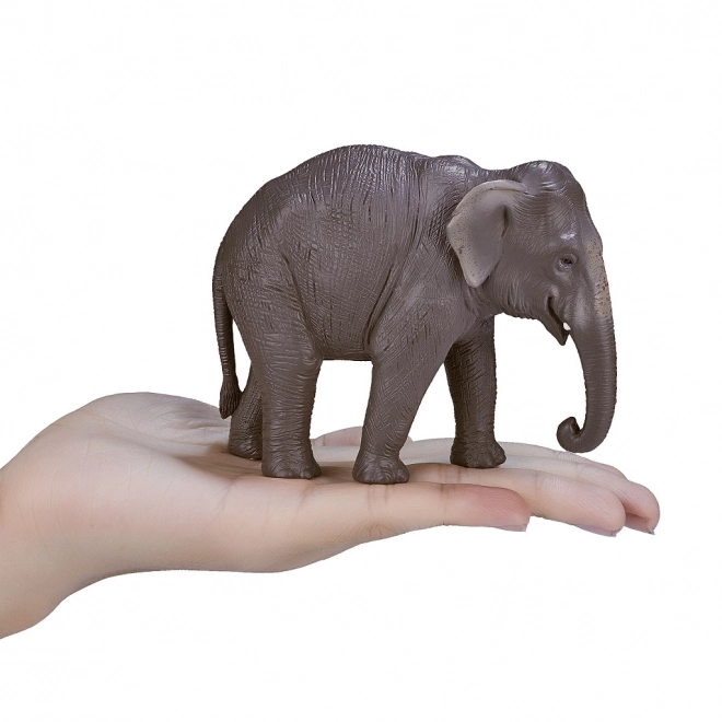 Mojo Indiase olifant