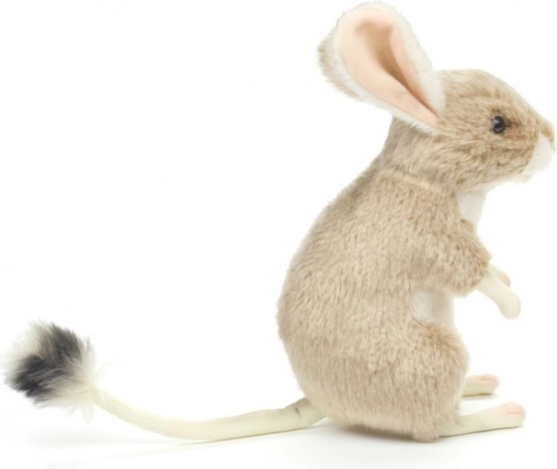 Licht en geschikt voor onderweg