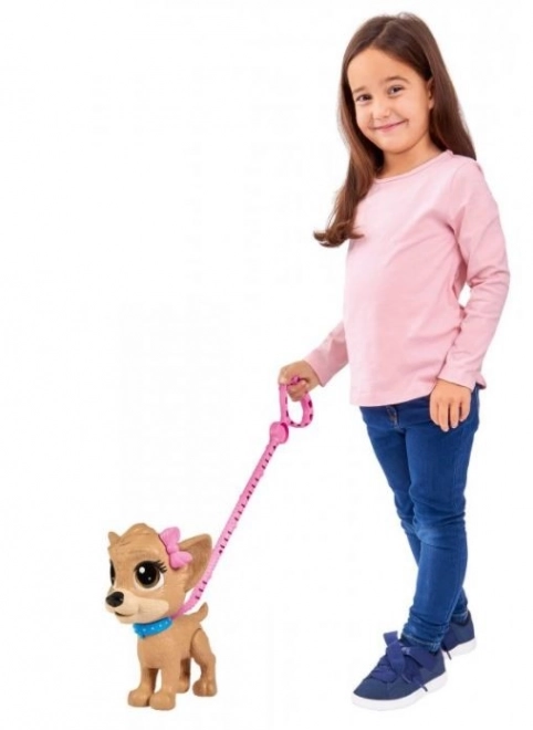 CCL Hondje Chihuahua Pii Pii