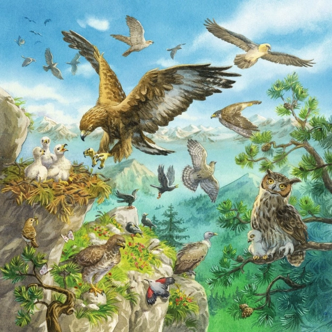 Oiseaux en milieu montagneux