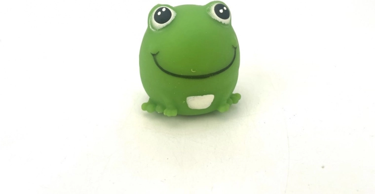 Kikker voor plezier en focus