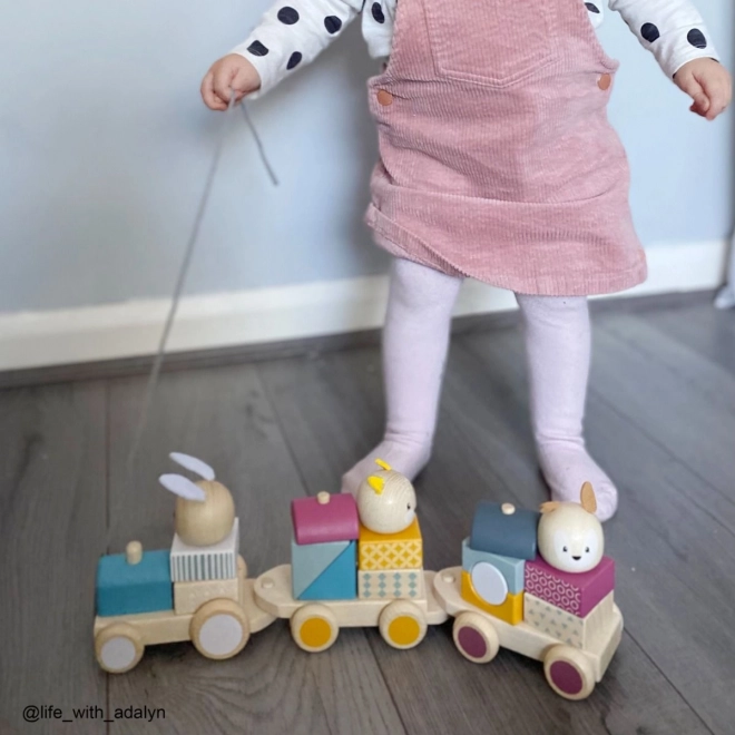 Bigjigs Baby Houten Trein met Dieren