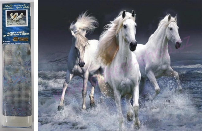 Diamond Painting Galloping Whites 30x40cm