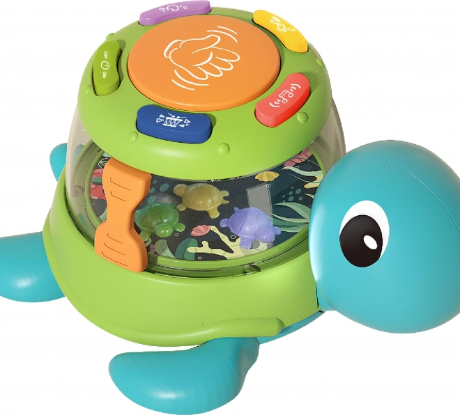 Bunte Schildkröten-Trommel mit Effekten