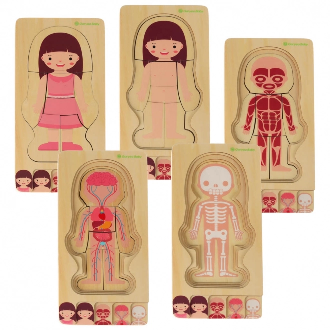 Educational Wooden Body Construction Puzzle Montessori for Girls