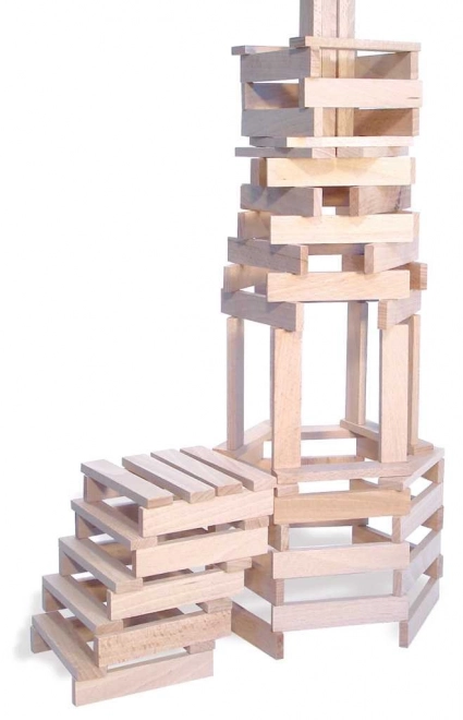 Holzbaukasten Vilac Batibloc 200 Teile