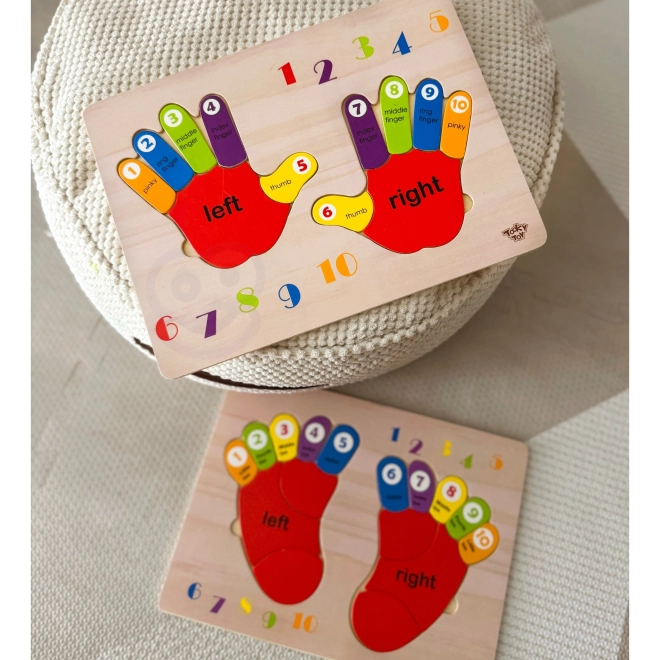 Educational Wooden Puzzle Hands Counting and Colors