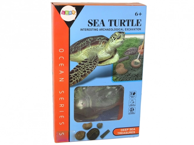 Educational Set Turtle Ammonite Excavation