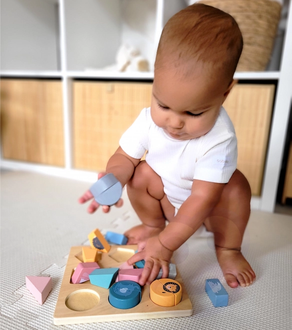 Shape Puzzle PolarB