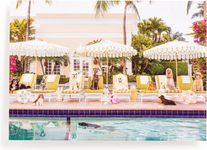 Puzzle By the Pool in Palm Beach 1000 Pieces