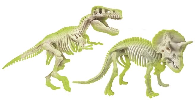 Squelettes de dinosaures lumineux