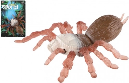 Araignée antistress avec corps rigide et pattes en silicone