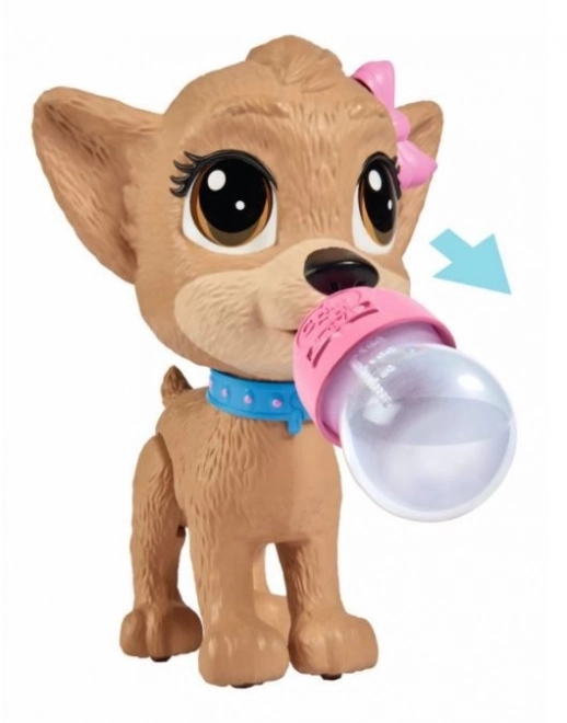 CCL Hondje Chihuahua Pii Pii