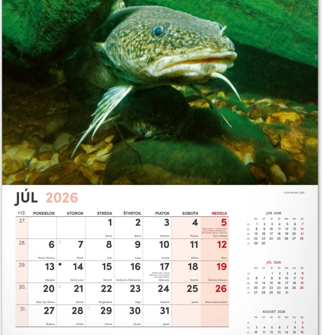Muurkalender Vissen 2026